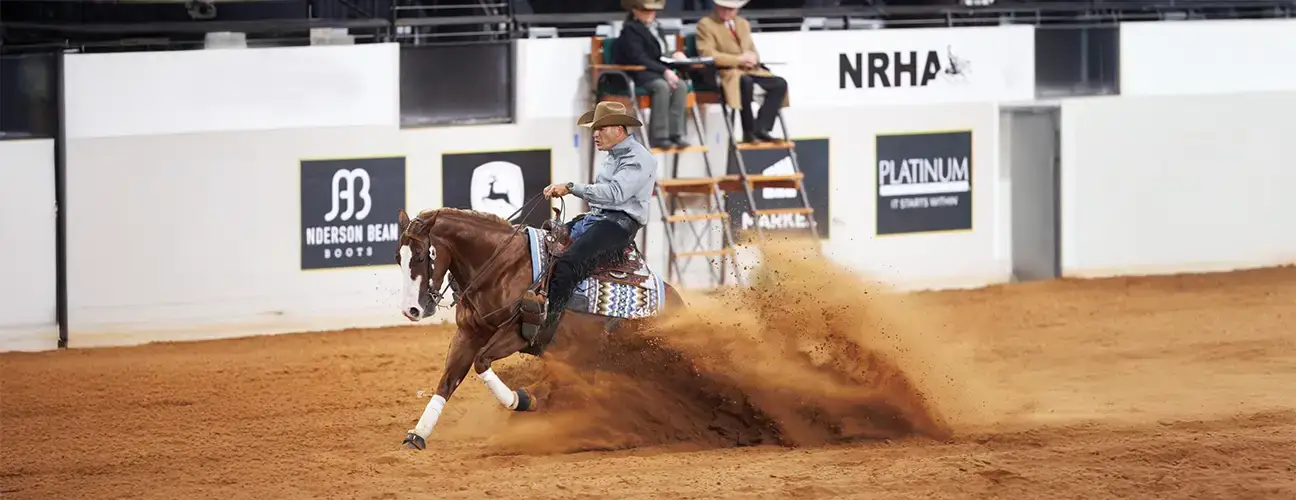 Marco Ricotta Reining Horses