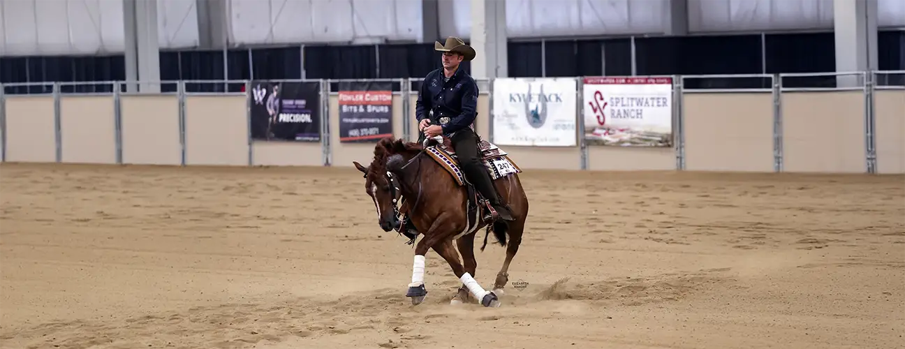 Travis Wigen Reining Horses - Image 6