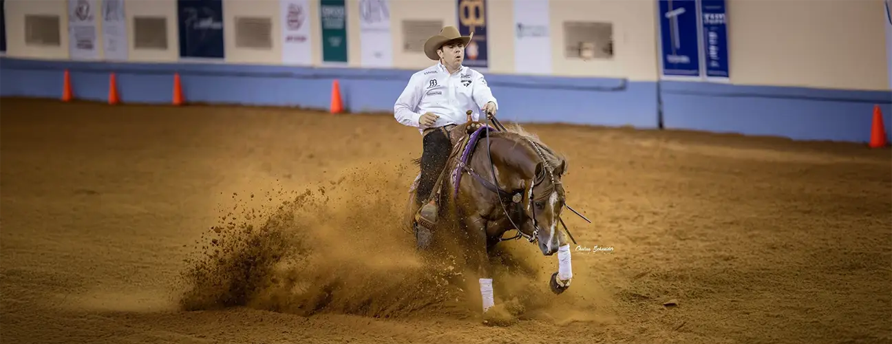 Fernando Salgado Reining Horses - Image 2