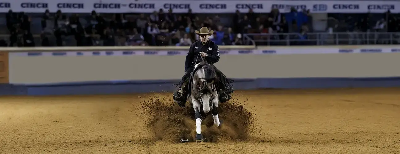 Franco Bertolani Reining Horses - Image 3