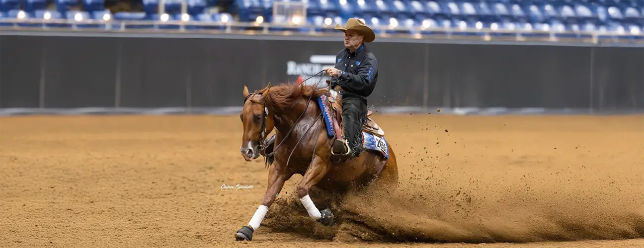 Franco Bertolani Reining Horses - Image 1