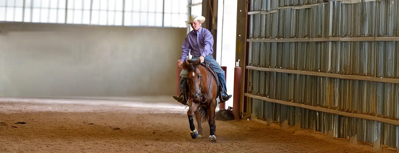 Wade McDonald Reining Horses - Image 1