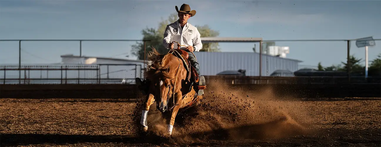Glen-Arthur Estival Reining Horses - Image 3