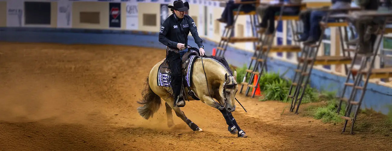 Brandon Brant Reining Horses - Image 2