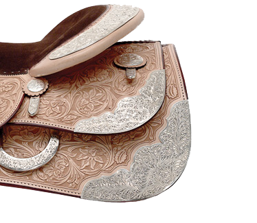 772Saguaro1 Saguaro 1