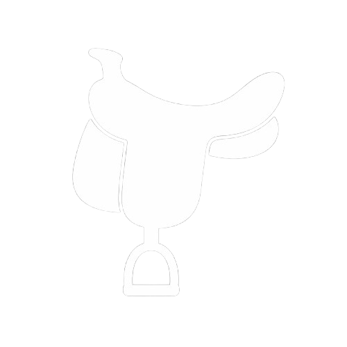 Saddle